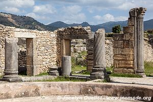 Volubilis - Maroc