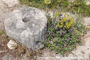 Volubilis - Maroc