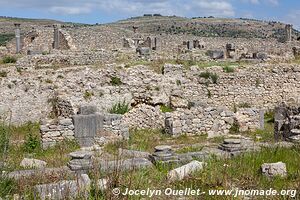 Volubilis - Maroc