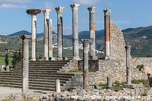 Volubilis - Maroc