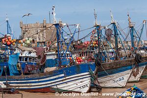 Essaouira - Morocco