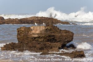 Essaouira - Morocco