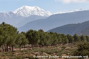 Les Terres d'Amanar - Morocco