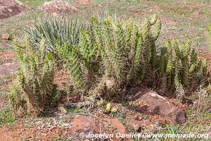 Les Terres d'Amanar - Morocco