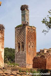 Rabat - Maroc