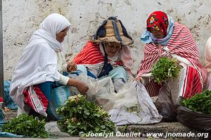 Tangier - Morocco