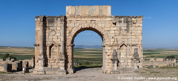 Volubilis - Maroc