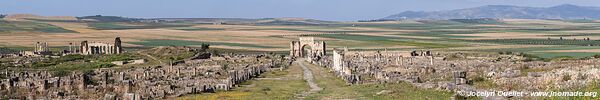 Volubilis - Maroc