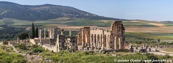 Volubilis - Maroc