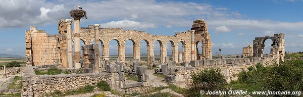 Volubilis - Morocco