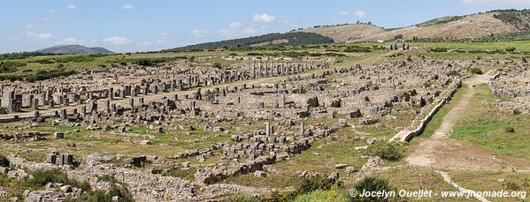 Volubilis - Morocco