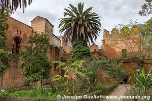 Chefchaouen - Maroc