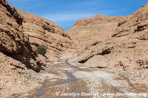 Trek north of Kalaat M'Gouna - Morocco