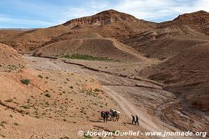 Trek north of Kalaat M'Gouna - Morocco