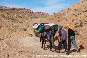 Rando au nord de Kelaat-M'Gouna - Maroc