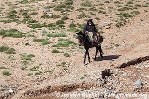 Trek north of Kalaat M'Gouna - Morocco