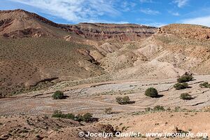 Trek north of Kalaat M'Gouna - Morocco