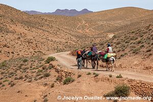 Rando au nord de Kelaat-M'Gouna - Maroc