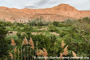 Trek north of Kalaat M'Gouna - Morocco