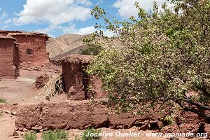 Trek north of Kalaat M'Gouna - Morocco