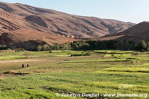 Trek north of Kalaat M'Gouna - Morocco