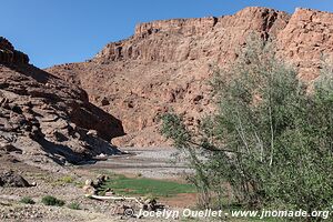 Trek north of Kalaat M'Gouna - Morocco