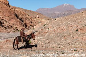 Trek north of Kalaat M'Gouna - Morocco