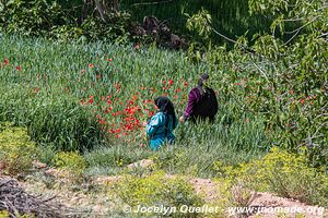 Trek north of Kalaat M'Gouna - Morocco