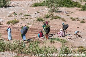 Trek north of Kalaat M'Gouna - Morocco