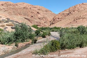 Trek north of Kalaat M'Gouna - Morocco