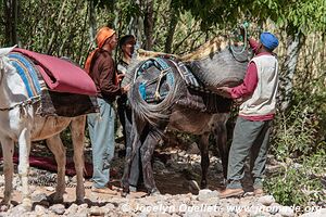 Trek north of Kalaat M'Gouna - Morocco