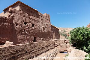 Trek north of Kalaat M'Gouna - Morocco