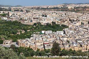 Fez - Morocco