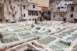 Fez - Morocco