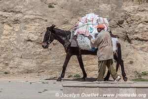 Fès - Maroc