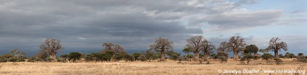 Tarangire National Park - Tanzania