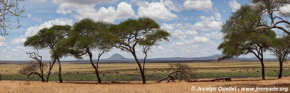Parc national de Tarangire - Tanzanie