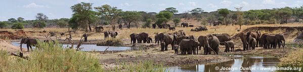 Parc national de Tarangire - Tanzanie