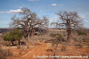 Parc national de Tarangire - Tanzanie