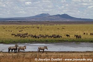 Parc national de Tarangire - Tanzanie