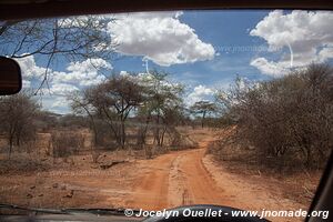 Tarangire National Park - Tanzania