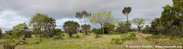 Parc national de Saadani - Tanzanie