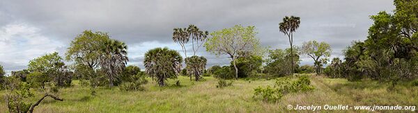 Saadani National Park - Tanzania