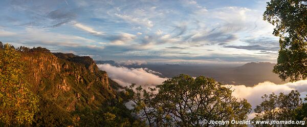 Usambara Mountains - Tanzania