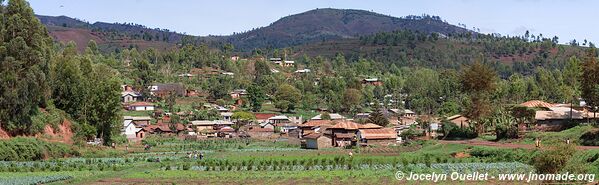 Monts Usambara - Tanzanie