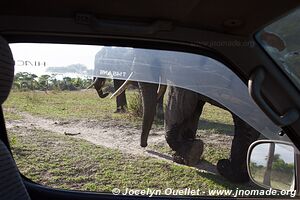 Tarangire National Park - Tanzania