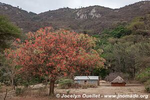 Région du Mont Hanang - Tanzanie