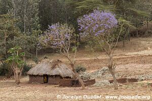 Région du Mont Hanang - Tanzanie