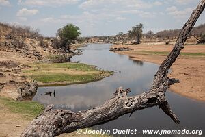 Ruaha National Park - Tanzania