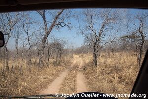 Ruaha National Park - Tanzania